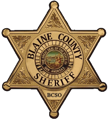 BCSO logo